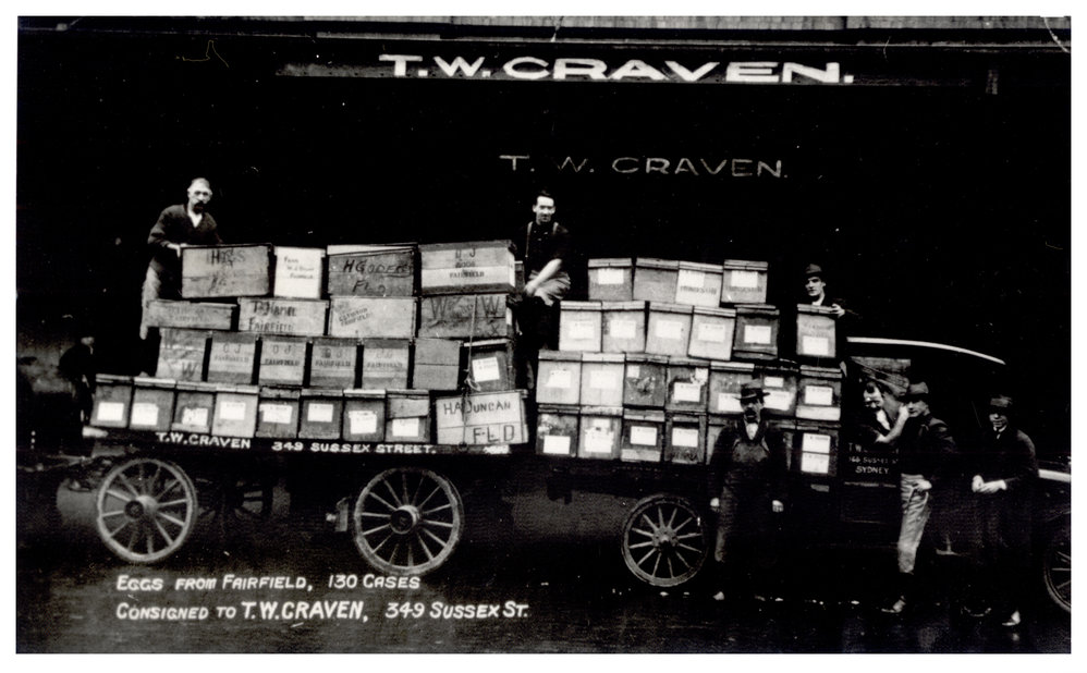 Eggs from Fairfield, Sydney NSW, c. 1925