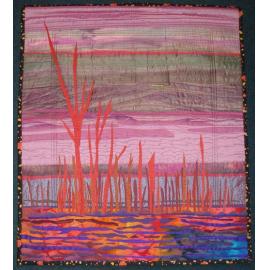 Quilt - Reflections of a Saline Land