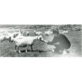Sue Kennett with some of the goats from Calmsley Hill farm, Abbotsbury, NSW