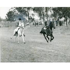 Sydney sprint racing club quarter horse event at Bossley Park, NSW