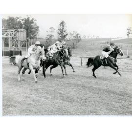 Sydney sprint racing club quarter horse events at Bossley Park, NSW