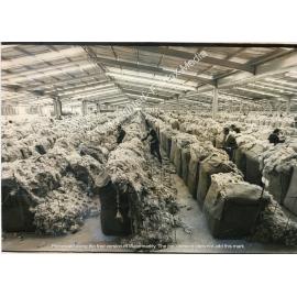 Wool inspection inside the 34 acre wool " village" at Yennora