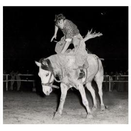 Buck Jumping in action at Fairfield Showground, Prairiewood NSW