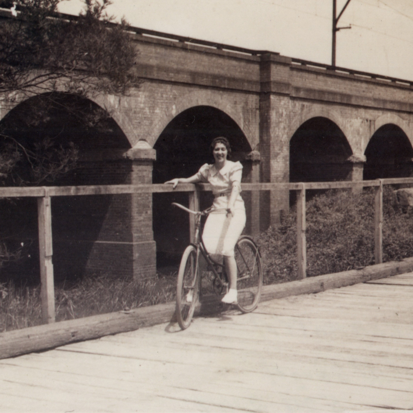 Canley Vale (Orphan School Creek) Viaduct