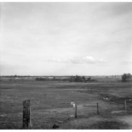 View from the Cabramatta Migrant Hostel, Cabramatta NSW, 1959