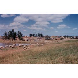 Fairfield City Farm, Abbotsbury NSW, c. late 1980s