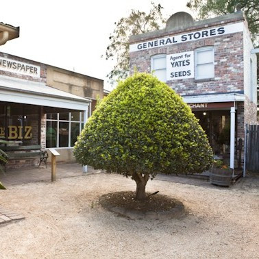 Fairfield City Museum &amp; Gallery